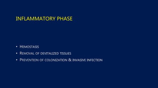 INFLAMMATORY PHASE
•
•
•
 