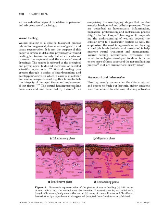 Wound healing dressings and drug delivery systems