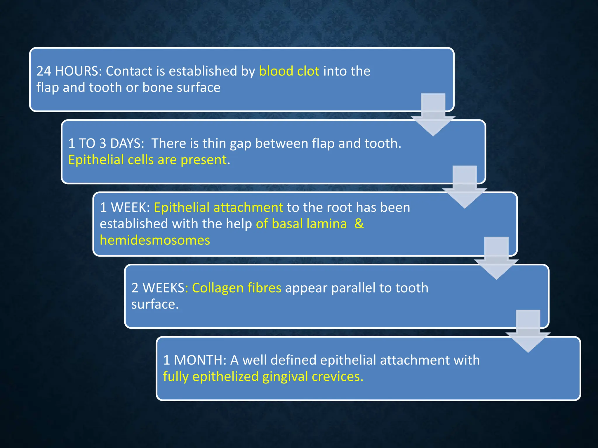 Wound Healing in Periodontology .pptx