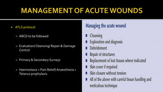 Wound Healing for UG.pptx