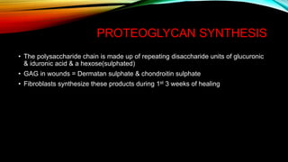 PROTEOGLYCAN SYNTHESIS
• The polysaccharide chain is made up of repeating disaccharide units of glucuronic
& iduronic acid & a hexose(sulphated)
• GAG in wounds = Dermatan sulphate & chondroitin sulphate
• Fibroblasts synthesize these products during 1st 3 weeks of healing
 