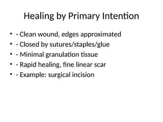 Wound_Healing_Full_Presentation (1).pptx