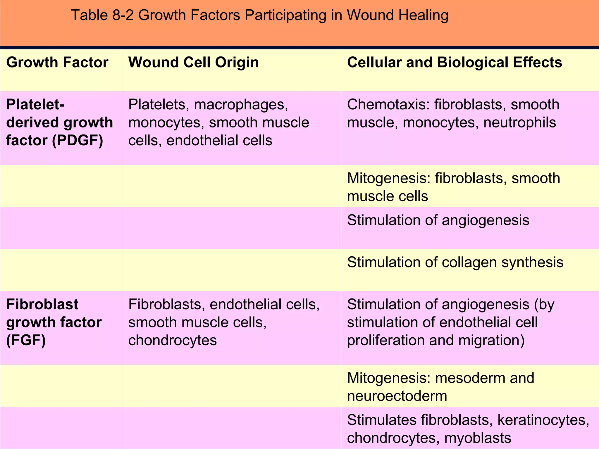 Table 8-2 Growth Factors Participating in Wound Healing Stimulates fibroblasts, keratinocytes, chondrocytes, myoblasts     Mitogenesis: mesoderm and neuroectoderm     Stimulation of angiogenesis (by stimulation of endothelial cell proliferation and migration) Fibroblasts, endothelial cells, smooth muscle cells, chondrocytes Fibroblast growth factor (FGF)   Stimulation of collagen synthesis     Stimulation of angiogenesis     Mitogenesis: fibroblasts, smooth muscle cells     Chemotaxis: fibroblasts, smooth muscle, monocytes, neutrophils Platelets, macrophages, monocytes, smooth muscle cells, endothelial cells Platelet-derived growth factor (PDGF)   Cellular and Biological Effects Wound Cell Origin Growth Factor 
