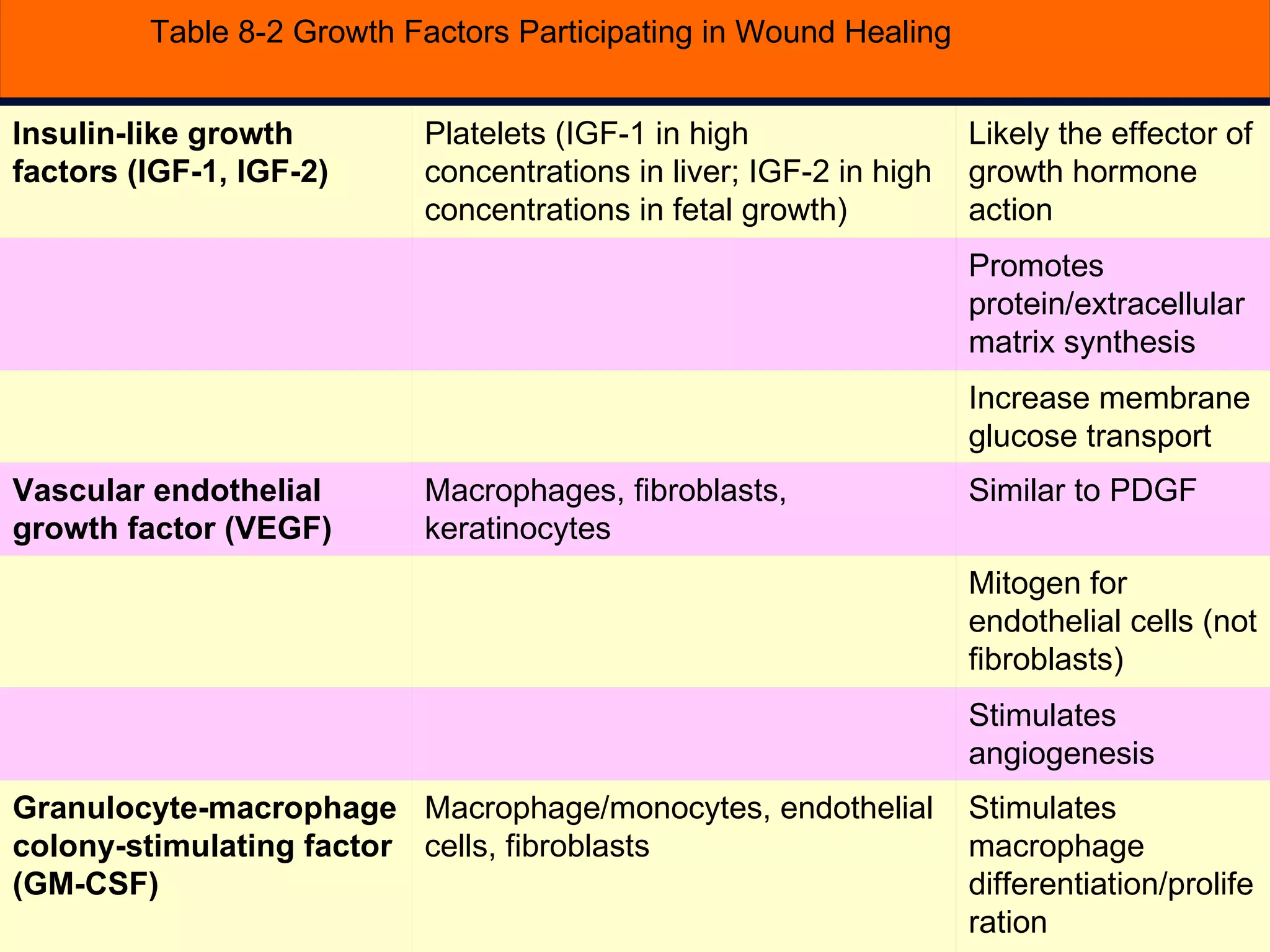 Table 8-2 Growth Factors Participating in Wound Healing Stimulates macrophage differentiation/proliferation Macrophage/monocytes, endothelial cells, fibroblasts Granulocyte-macrophage colony-stimulating factor (GM-CSF)   Stimulates angiogenesis     Mitogen for endothelial cells (not fibroblasts)     Similar to PDGF Macrophages, fibroblasts, keratinocytes Vascular endothelial growth factor (VEGF)   Increase membrane glucose transport     Promotes protein/extracellular matrix synthesis     Likely the effector of growth hormone action Platelets (IGF-1 in high concentrations in liver; IGF-2 in high concentrations in fetal growth) Insulin-like growth factors (IGF-1, IGF-2)   