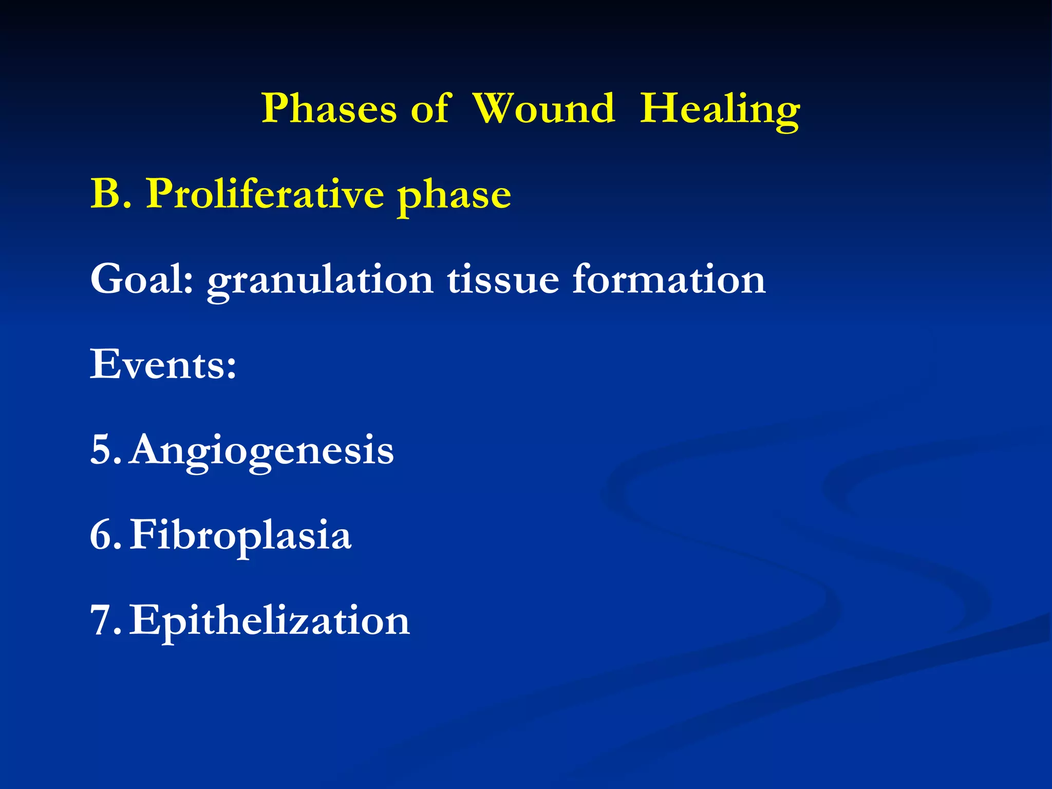 Phases of  Wound  Healing B. Proliferative phase Goal: granulation tissue formation Events:  Angiogenesis Fibroplasia Epithelization 