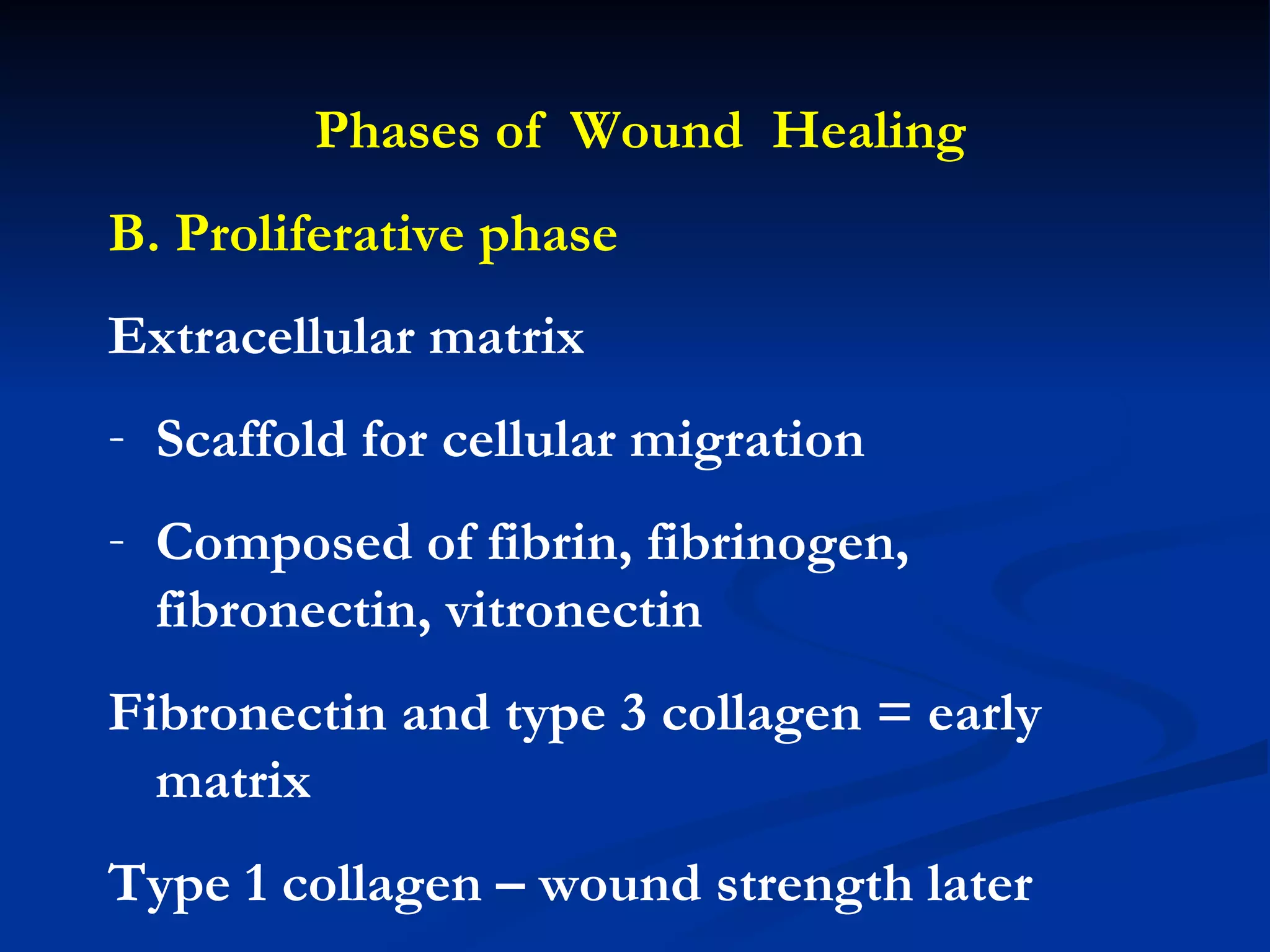 Phases of  Wound  Healing B. Proliferative phase Extracellular matrix  Scaffold for cellular migration Composed of fibrin, fibrinogen, fibronectin, vitronectin Fibronectin and type 3 collagen = early matrix Type 1 collagen – wound strength later 