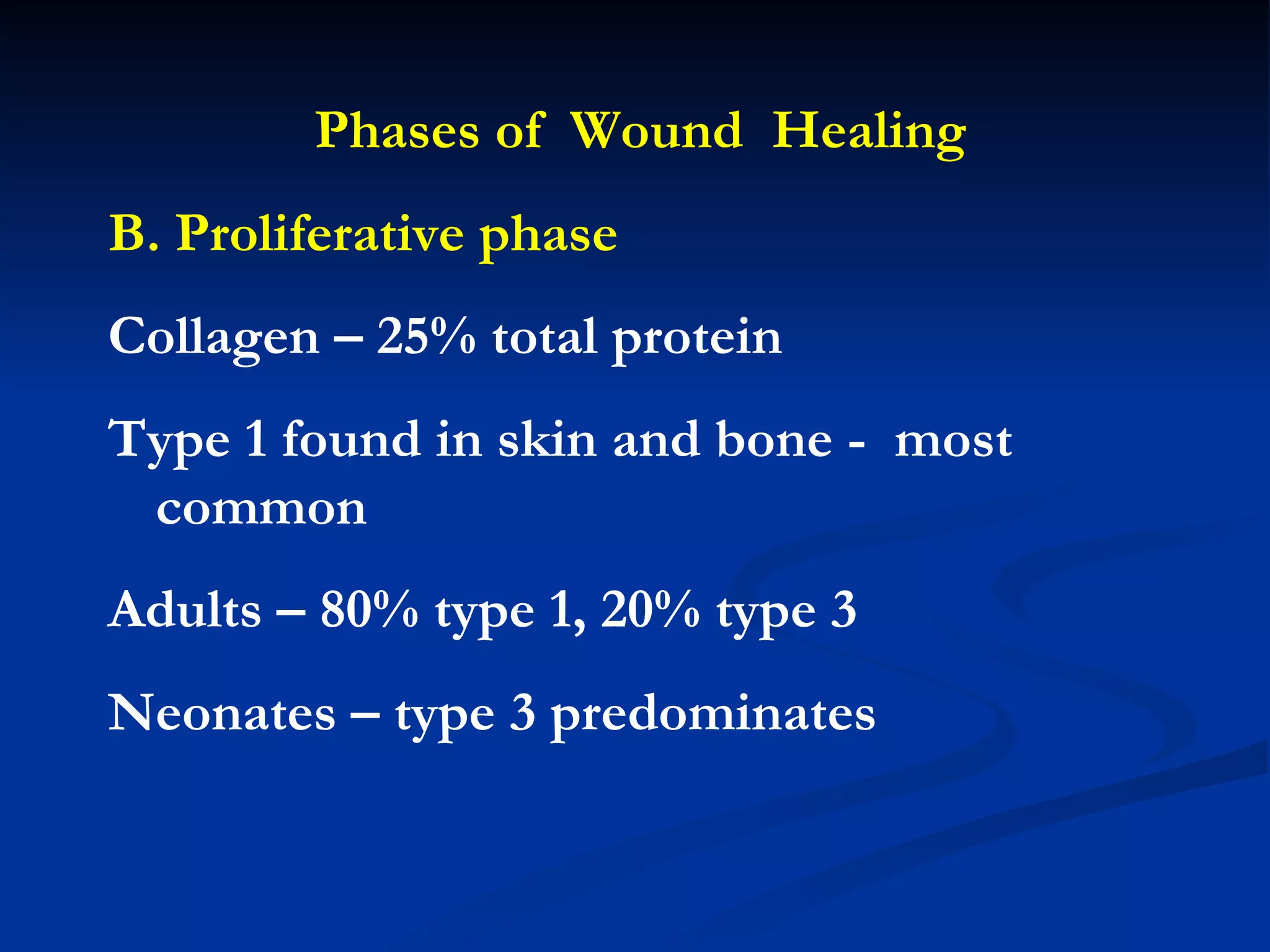 Phases of  Wound  Healing B. Proliferative phase Collagen – 25% total protein Type 1 found in skin and bone -  most common Adults – 80% type 1, 20% type 3 Neonates – type 3 predominates 