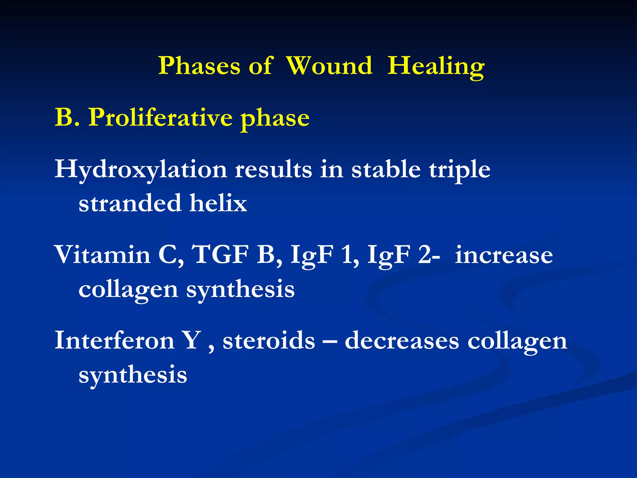 Phases of  Wound  Healing B. Proliferative phase Hydroxylation results in stable triple stranded helix Vitamin C, TGF B, IgF 1, IgF 2-  increase collagen synthesis Interferon Y , steroids – decreases collagen synthesis 