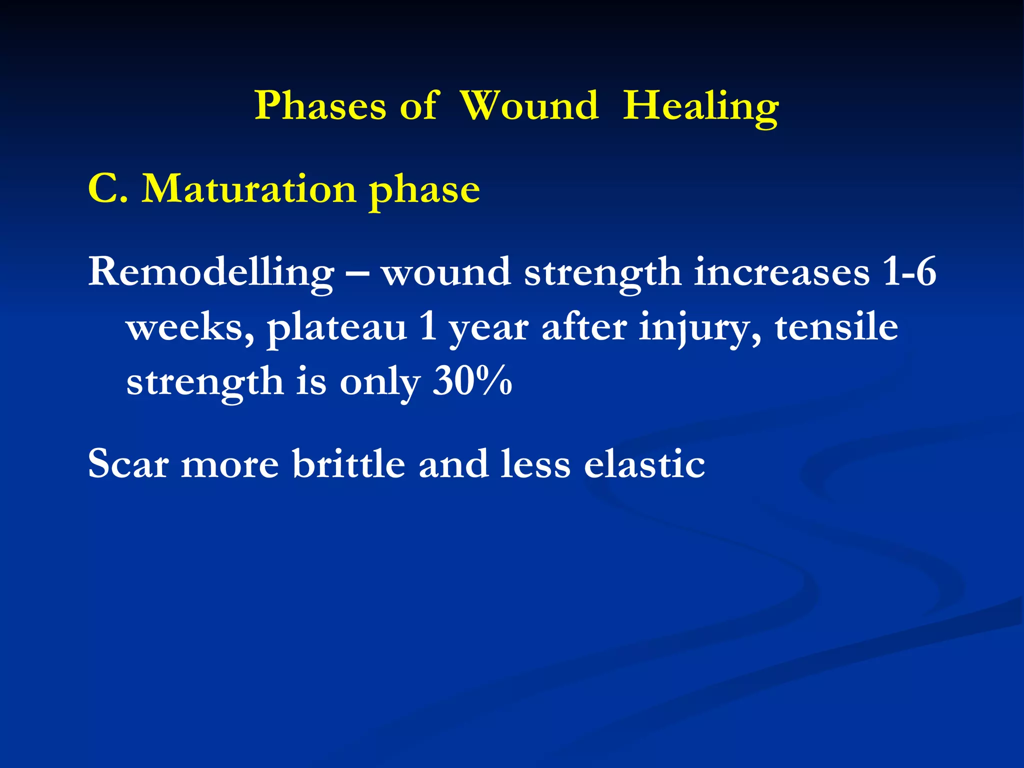Phases of  Wound  Healing C. Maturation phase Remodelling – wound strength increases 1-6 weeks, plateau 1 year after injury, tensile strength is only 30% Scar more brittle and less elastic 