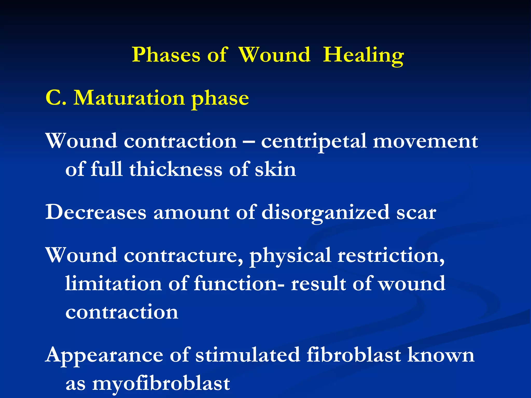 Phases of  Wound  Healing C. Maturation phase Wound contraction – centripetal movement of full thickness of skin Decreases amount of disorganized scar Wound contracture, physical restriction, limitation of function- result of wound contraction Appearance of stimulated fibroblast known as myofibroblast 