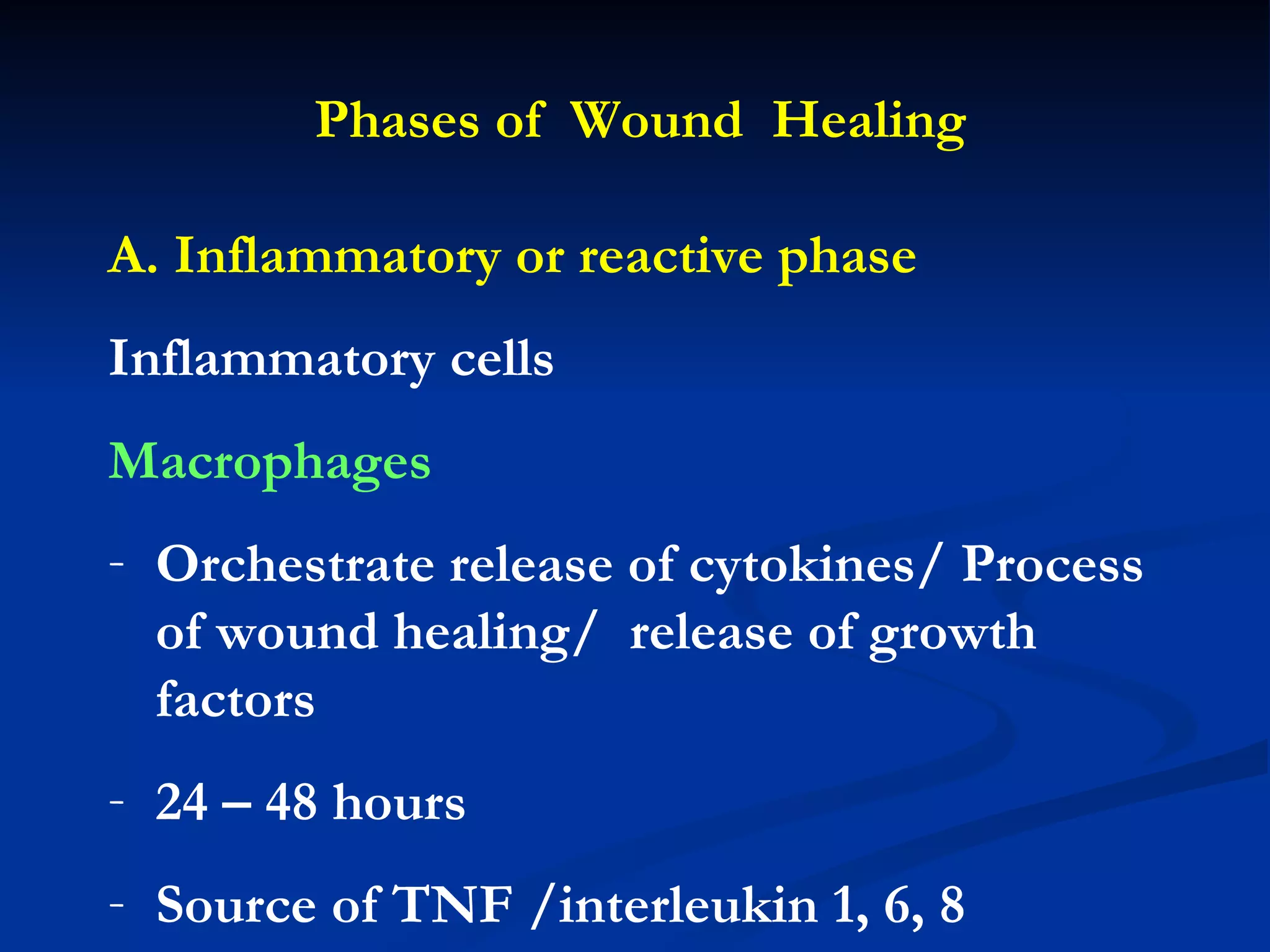 Phases of  Wound  Healing A. Inflammatory or reactive phase Inflammatory cells Macrophages Orchestrate release of cytokines/ Process of wound healing/  release of growth factors 24 – 48 hours Source of TNF /interleukin 1, 6, 8 