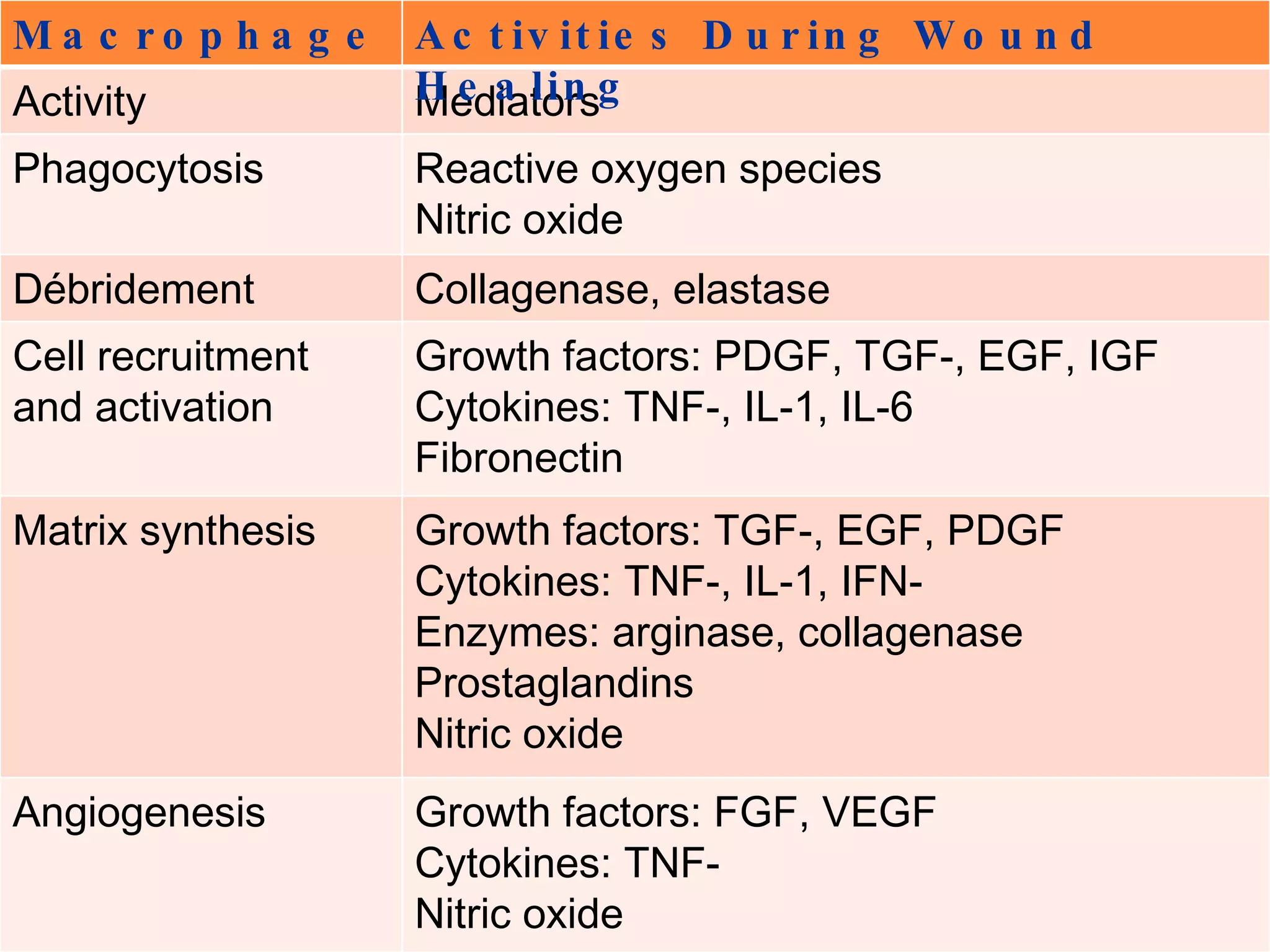 Growth factors: FGF, VEGF Cytokines: TNF-  Nitric oxide Angiogenesis Growth factors: TGF-, EGF, PDGF Cytokines: TNF-, IL-1, IFN- Enzymes: arginase, collagenase Prostaglandins Nitric oxide Matrix synthesis Growth factors: PDGF, TGF-, EGF, IGF Cytokines: TNF-, IL-1, IL-6  Fibronectin Cell recruitment and activation Collagenase, elastase Débridement Reactive oxygen species  Nitric oxide Phagocytosis Mediators Activity Activities During Wound Healing Macrophage  