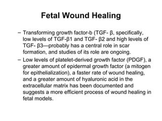 Fetal Wound Healing
– Transforming growth factor-b (TGF- β, specifically,
low levels of TGF-β1 and TGF- β2 and high levels of
TGF- β3—probably has a central role in scar
formation, and studies of its role are ongoing.
– Low levels of platelet-derived growth factor (PDGF), a
greater amount of epidermal growth factor (a mitogen
for epithelialization), a faster rate of wound healing,
and a greater amount of hyaluronic acid in the
extracellular matrix has been documented and
suggests a more efficient process of wound healing in
fetal models.
 