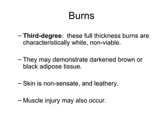 Burns
– Third-degree: these full thickness burns are
characteristically white, non-viable.
– They may demonstrate darkened brown or
black adipose tissue.
– Skin is non-sensate, and leathery.
– Muscle injury may also occur.
 