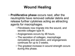 Wound Healing
– Maturation phase is the final phase and
starts from the 3rd week and continues for up
to 9-12 months.
– Th...