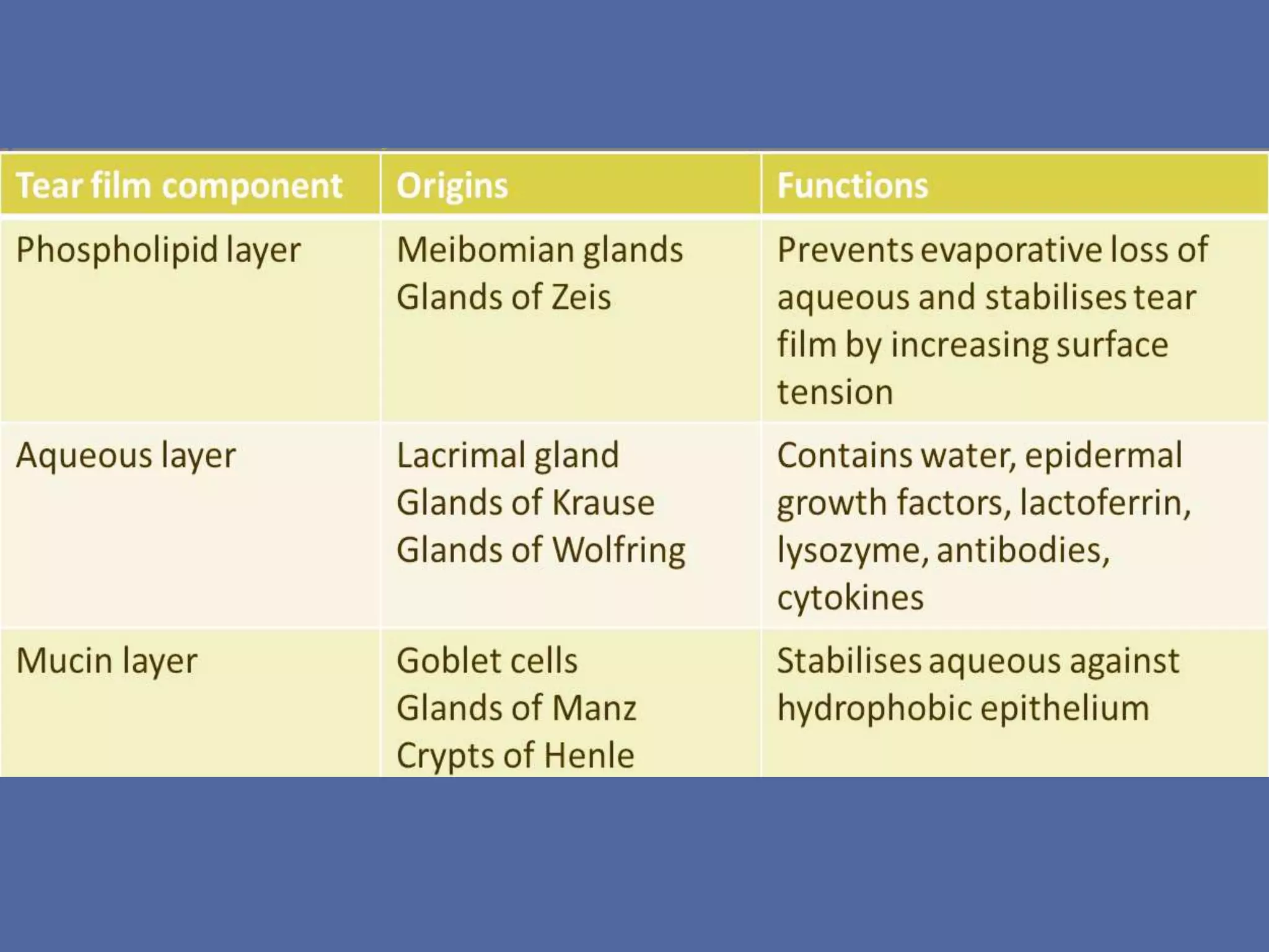 Wound healing of cornea | PPTX