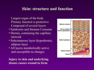 Skin: structure and function
Largest organ of the body
Primary function is protective
Composed of several layers
• Epidermis and Stratum Corneum
• Dermis, containing the capillary
network
• Subcutaneous layer (hypodermis,
adipose layer
• All layers metabolically active
and susceptible to changes
Injury to skin and underlying
tissues causes wound to form
 