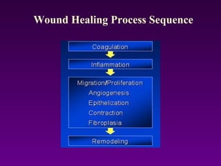 Wound Healing Process Sequence
 