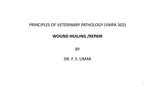 PRINCIPLES OF VETERINARY PATHOLOGY (VMPA 302)
WOUND HEALING /REPAIR
BY
DR. F. S. UMAR
1
 