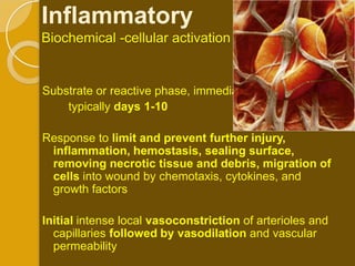 Inflammatory
Biochemical -cellular activation


Substrate or reactive phase, immediate
    typically days 1-10

Response to limit and prevent further injury,
 inflammation, hemostasis, sealing surface,
 removing necrotic tissue and debris, migration of
 cells into wound by chemotaxis, cytokines, and
 growth factors

Initial intense local vasoconstriction of arterioles and
  capillaries followed by vasodilation and vascular
  permeability
 