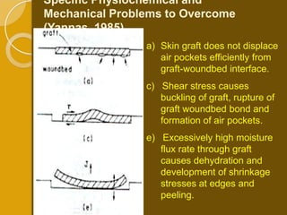 Specific Physiochemical and
Mechanical Problems to Overcome
(Yannas, 1985).
                a) Skin graft does not displace
                   air pockets efficiently from
                   graft-woundbed interface.
                c) Shear stress causes
                   buckling of graft, rupture of
                   graft woundbed bond and
                   formation of air pockets.
                e) Excessively high moisture
                   flux rate through graft
                   causes dehydration and
                   development of shrinkage
                   stresses at edges and
                   peeling.
 