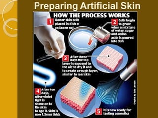 Preparing Artificial Skin
 