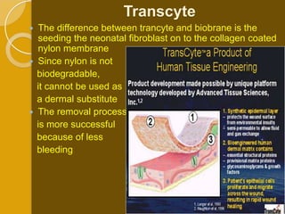 Transcyte
   The difference between trancyte and biobrane is the
    seeding the neonatal fibroblast on to the collagen coated
    nylon membrane
   Since nylon is not
    biodegradable,
    it cannot be used as
    a dermal substitute
   The removal process
    is more successful
    because of less
    bleeding
 