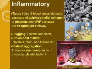 Inflammatory
 Tissue injury & blood vessel damage
exposure of subendothelial collagen
to platelets and vWF activates
the coagulation pathway

 Plugging: Platelet and fibrin
 Provisional matrix:
 platelets, fibrin, and fibronectin
 Platelet aggregation:
Thromboxane (vasoconstrict),
thrombin, platelet factor 4
 