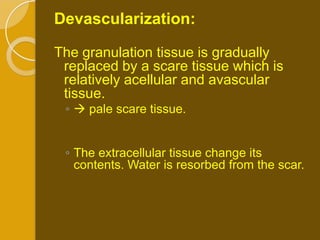 Devascularization:

The granulation tissue is gradually
 replaced by a scare tissue which is
 relatively acellular and avascular
 tissue.
 ◦  pale scare tissue.


 ◦ The extracellular tissue change its
   contents. Water is resorbed from the scar.
 
