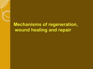 Mechanisms of regeneration,
wound healing and repair
 
