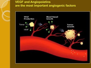 VEGF and Angiopoietins
are the most important angiogenic factors
 