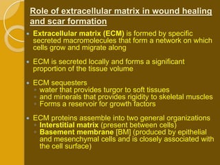 Role of extracellular matrix in wound healing
    and scar formation
   Extracellular matrix (ECM) is formed by specific
    secreted macromolecules that form a network on which
    cells grow and migrate along
   ECM is secreted locally and forms a significant
    proportion of the tissue volume
   ECM sequesters
    ◦ water that provides turgor to soft tissues
    ◦ and minerals that provides rigidity to skeletal muscles
    ◦ Forms a reservoir for growth factors
   ECM proteins assemble into two general organizations
    ◦ Interstitial matrix (present between cells)
    ◦ Basement membrane [BM] (produced by epithelial
      and mesenchymal cells and is closely associated with
      the cell surface)
 