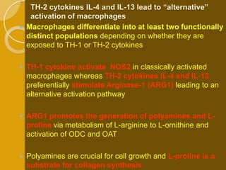 TH-2 cytokines IL-4 and IL-13 lead to “alternative”
     activation of macrophages
   Macrophages differentiate into at least two functionally
    distinct populations depending on whether they are
    exposed to TH-1 or TH-2 cytokines

   TH-1 cytokine activate NOS2 in classically activated
    macrophages whereas TH-2 cytokines IL-4 and IL-13
    preferentially stimulate Arginase-1 (ARG1) leading to an
    alternative activation pathway

   ARG1 promotes the generation of polyamines and L-
    proline via metabolism of L-arginine to L-ornithine and
    activation of ODC and OAT

   Polyamines are crucial for cell growth and L-proline is a
    substrate for collagen synthesis
 