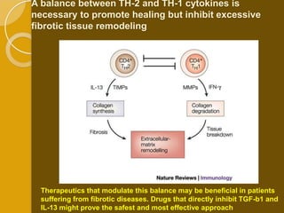 A balance between TH-2 and TH-1 cytokines is
necessary to promote healing but inhibit excessive
fibrotic tissue remodeling




  Therapeutics that modulate this balance may be beneficial in patients
  suffering from fibrotic diseases. Drugs that directly inhibit TGF-b1 and
  IL-13 might prove the safest and most effective approach
 