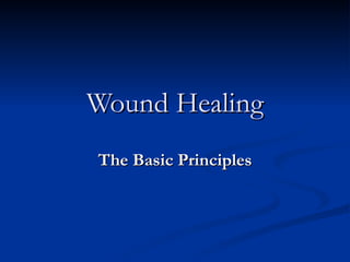 Wound Healing The Basic Principles 