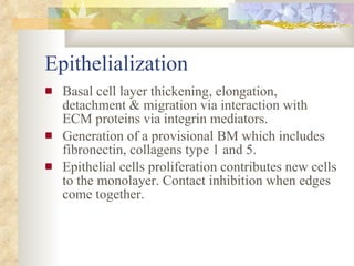 Wound Healing & Wound Care | PPT