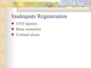 Inadequate Regeneration <ul><li>CNS injuries </li></ul><ul><li>Bone nonunion </li></ul><ul><li>Corneal ulcers </li></ul>