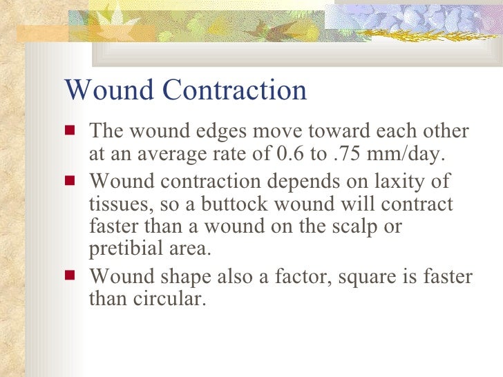 Wound Healing & Wound Care