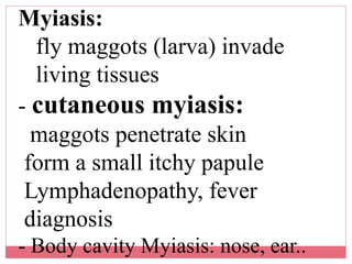 Wound infection ppt Dr.Mahadi | PPT