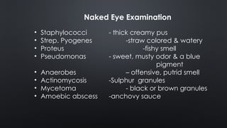 Comprehensive Overview of Wound Infection: Classification, Causes, and ...