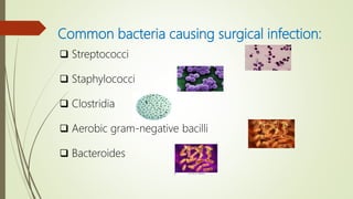 Common bacteria causing surgical infection:
 Streptococci
 Staphylococci
 Clostridia
 Aerobic gram-negative bacilli
 Bacteroides
 