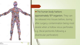 The human body harbors
approximately 1014 organism. They can
be released into tissues before, during
after surgery, contamination being most
severe when a hollow viscus perforates
e.g. (fecal peritonitis following a
diverticular perforation)
 