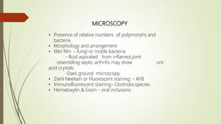 MICROSCOPY
• Presence of relative numbers of polymorphs and
bacteria
• Morphology and arrangement
• Wet film - fungi or motile bacteria
- fluid aspirated from inflamed joint
resembling septic arthritis may show uric
acid crystals
-Dark ground microscopy
• Ziehl Neelsen or Fluorescent staining: - AFB
• lmmunofluorescent staining- Clostridia species
• Hematoxylin & Eosin - viral inclusions
 
