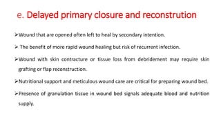 e. Delayed primary closure and reconstrution
Wound that are opened often left to heal by secondary intention.
 The benefit of more rapid wound healing but risk of recurrent infection.
Wound with skin contracture or tissue loss from debridement may require skin
grafting or flap reconstruction.
Nutritional support and meticulous wound care are critical for preparing wound bed.
Presence of granulation tissue in wound bed signals adequate blood and nutrition
supply.
 