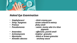 Wound Infection etiology and management .pptx