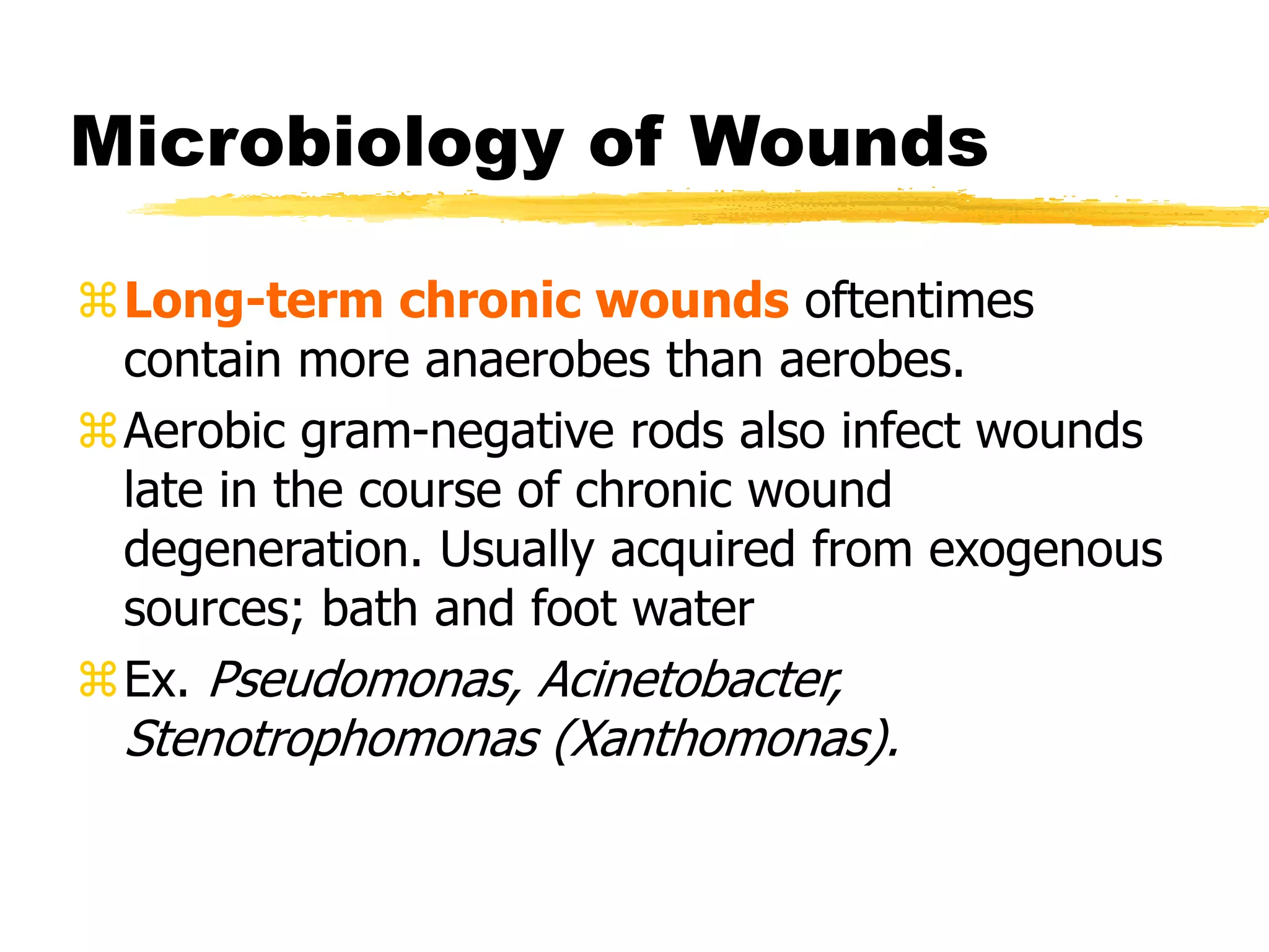 wound infection microbiology.PPT