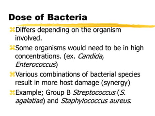 Dose of Bacteria
Differs depending on the organism
involved.
Some organisms would need to be in high
concentrations. (ex. Candida,
Enterococcus)
Various combinations of bacterial species
result in more host damage (synergy)
Example; Group B Streptococcus (S.
agalatiae) and Staphylococcus aureus.
 