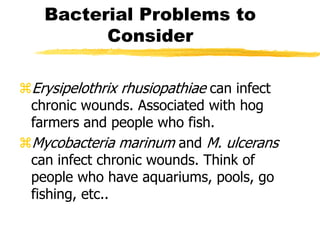 Bacterial Problems to
Consider
Erysipelothrix rhusiopathiae can infect
chronic wounds. Associated with hog
farmers and people who fish.
Mycobacteria marinum and M. ulcerans
can infect chronic wounds. Think of
people who have aquariums, pools, go
fishing, etc..
 
