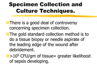 Specimen Collection and
Culture Techniques.
There is a good deal of controversy
concerning specimen collection.
The gold standard collection method is to
do a tissue biopsy or needle aspirate of
the leading edge of the wound after
debridement.
>105 CFU/gm of tissue= greater likelihood
of sepsis developing.
 