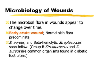 Microbiology of Wounds
The microbial flora in wounds appear to
change over time.
Early acute wound; Normal skin flora
predominate.
S. aureus, and Beta-hemolytic Streptococcus
soon follow. (Group B Streptococcus and S.
aureus are common organisms found in diabetic
foot ulcers)
 